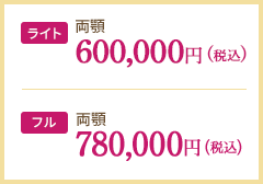 ライト：400,000円(税込)_フル：750,000円(税込)