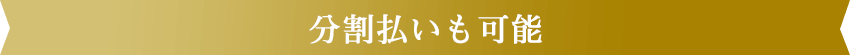 分割払いも可能